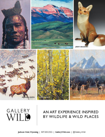 Gallery Wild