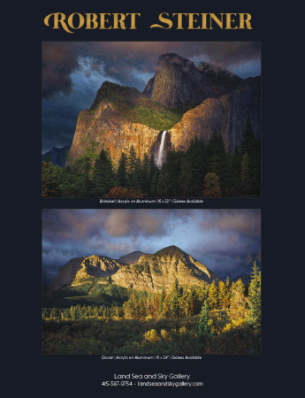 Steiner Prints