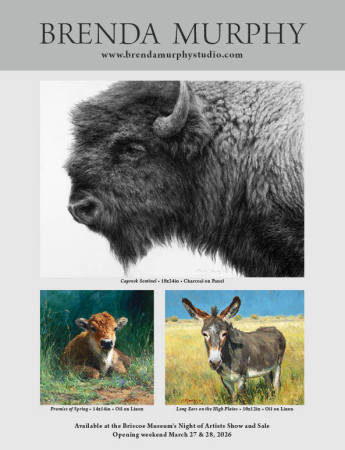 Brenda J. Murphy Fine Art