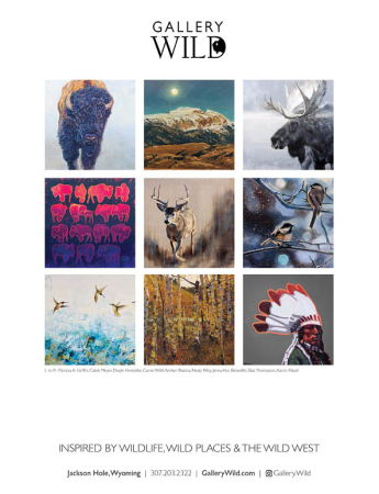 Gallery Wild