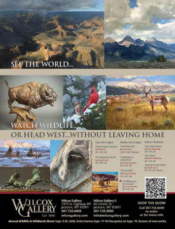 Wilcox Gallery