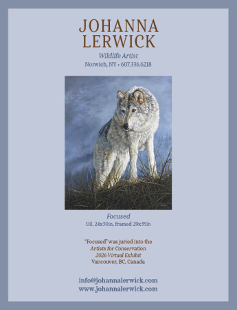 Johanna Lerwick