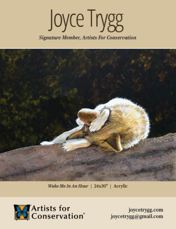 Joyce Trygg