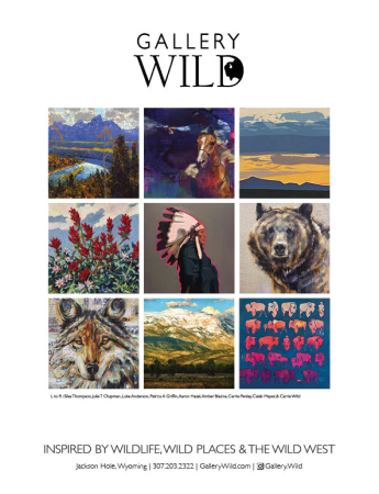 Gallery Wild